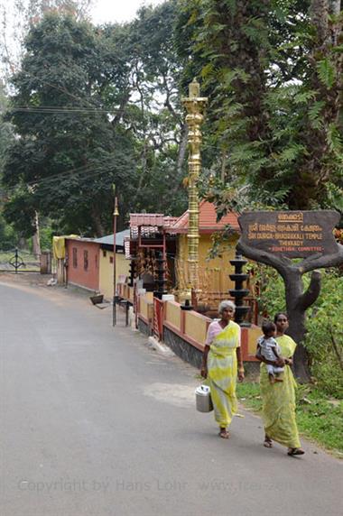 On the way to Periyar Lake N.P., ThekkadyDSC_7612_H600